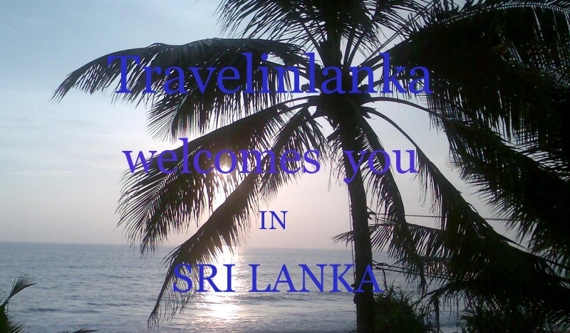 Sri Lanka Trips Tours Taxi Airport Transfer