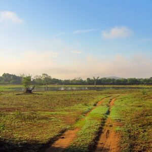 Wasgamuwa National Park